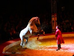 Circus YAKARI am 28.09.2024